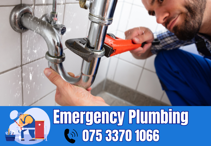  plumber Wayfield